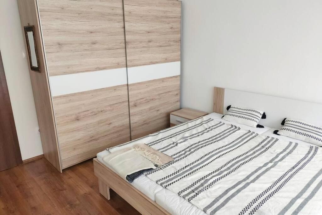 Plaza Apartman - City Center, Free Parking, Free Wifi Debrecen Exteriör bild